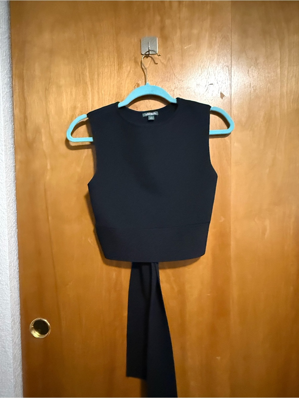 wild fable Black Sleeveless Crop Top with Long Back Tie